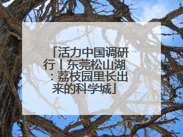 活力中国调研行丨东莞松山湖：荔枝园里长出来的科学城