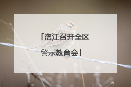 洛江召开全区警示教育会