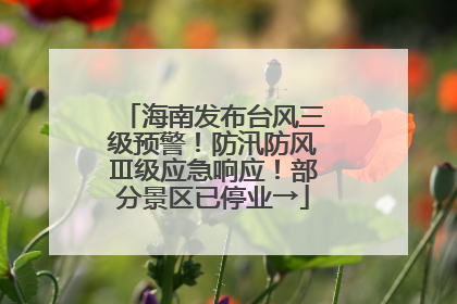 海南发布台风三级预警！防汛防风Ⅲ级应急响应！部分景区已停业→