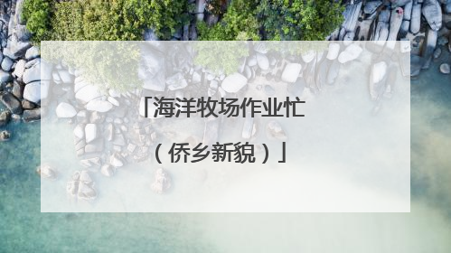 海洋牧场作业忙（侨乡新貌）