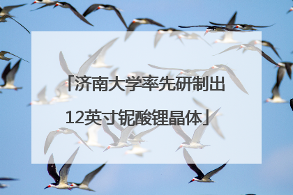 济南大学率先研制出12英寸铌酸锂晶体