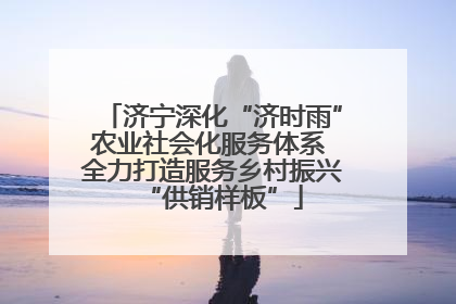 济宁深化“济时雨”农业社会化服务体系 全力打造服务乡村振兴“供销样板”