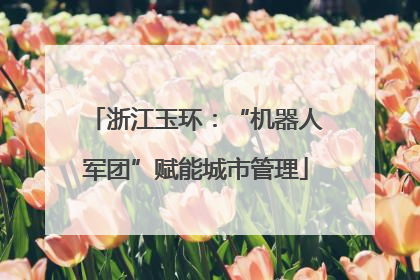浙江玉环：“机器人军团”赋能城市管理