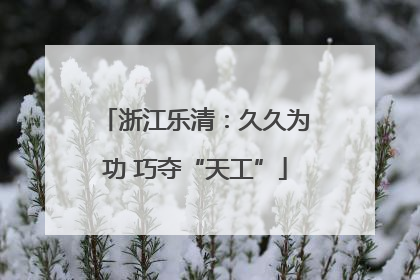 浙江乐清：久久为功 巧夺“天工”