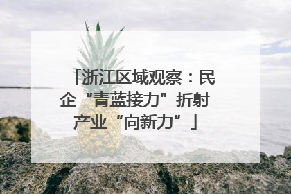 浙江区域观察：民企“青蓝接力”折射产业“向新力”
