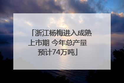 浙江杨梅进入成熟上市期 今年总产量预计74万吨