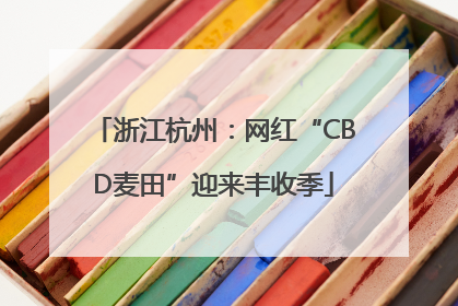 浙江杭州：网红“CBD麦田”迎来丰收季