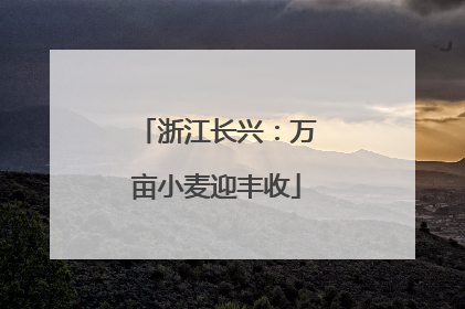 浙江长兴：万亩小麦迎丰收