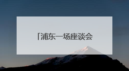 浦东一场座谈会引来众多新加坡企业，新的合作可能也由此开启