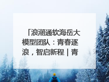 浪潮通软海岳大模型团队：青春逐浪，智启新程｜青春思政课