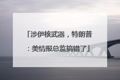 涉伊核武器，特朗普：美情报总监搞错了