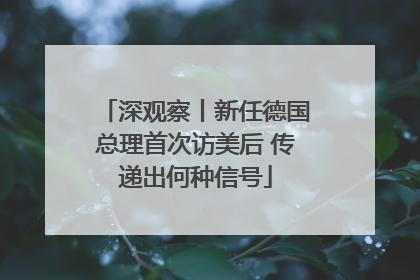 深观察丨新任德国总理首次访美后 传递出何种信号