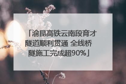 渝昆高铁云南段育才隧道顺利贯通 全线桥隧施工完成超90%