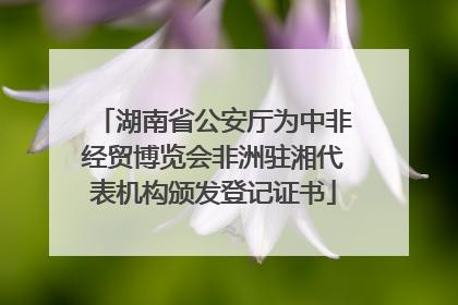 湖南省公安厅为中非经贸博览会非洲驻湘代表机构颁发登记证书