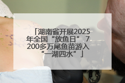 湖南省开展2025年全国“放鱼日” 7200多万尾鱼苗游入“一湖四水”
