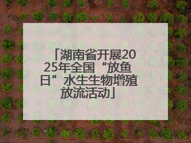 湖南省开展2025年全国“放鱼日”水生生物增殖放流活动