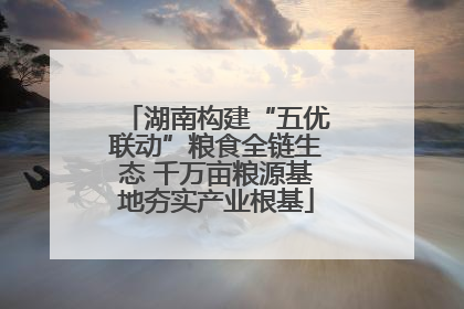 湖南构建“五优联动”粮食全链生态 千万亩粮源基地夯实产业根基