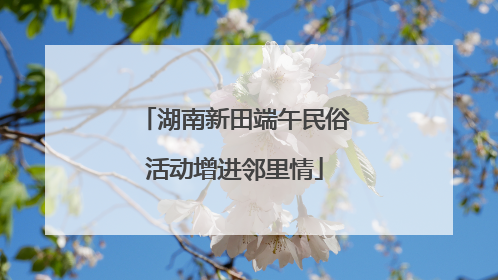 湖南新田端午民俗活动增进邻里情