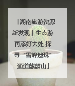 湖南旅游资源新发现丨生态游再添好去处 探寻“雪峰遗珠”通道麒麟山
