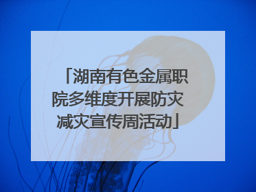 湖南有色金属职院多维度开展防灾减灾宣传周活动