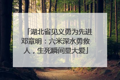 湖北省见义勇为先进邓章明：六米深水勇救人，生死瞬间显大爱
