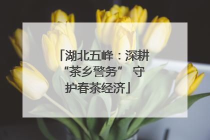 湖北五峰：深耕“茶乡警务” 守护春茶经济