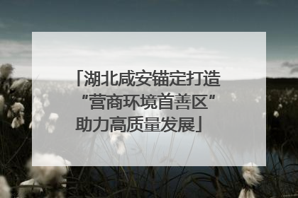 湖北咸安锚定打造“营商环境首善区”助力高质量发展