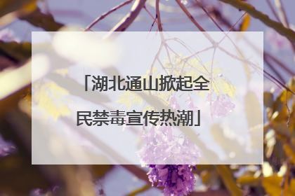 湖北通山掀起全民禁毒宣传热潮
