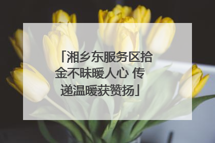 湘乡东服务区拾金不昧暖人心 传递温暖获赞扬