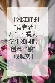 湘江畔的“青春梦工厂”：看大学生如何把创意“酿”成现实
