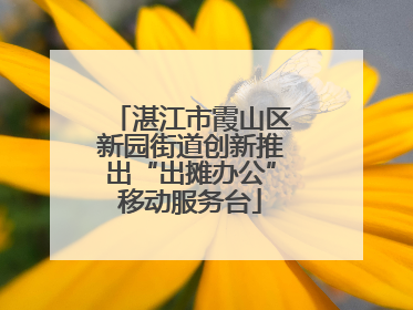 湛江市霞山区新园街道创新推出“出摊办公”移动服务台