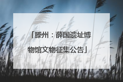 滕州：薛国遗址博物馆文物征集公告