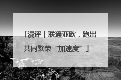 漫评｜联通亚欧，跑出共同繁荣“加速度”