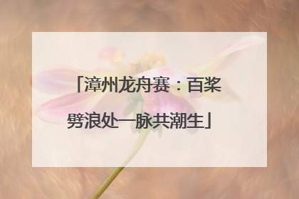 漳州龙舟赛：百桨劈浪处一脉共潮生