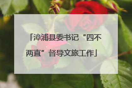 漳浦县委书记“四不两直”督导文旅工作