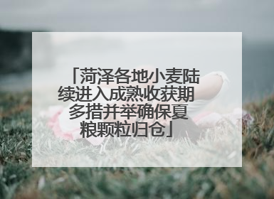 菏泽各地小麦陆续进入成熟收获期 多措并举确保夏粮颗粒归仓