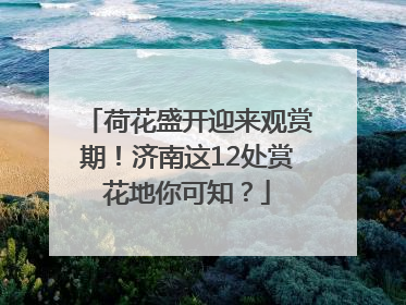 荷花盛开迎来观赏期！济南这12处赏花地你可知？