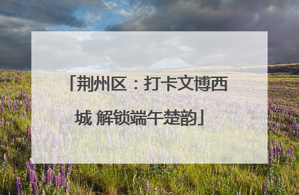 荆州区：打卡文博西城 解锁端午楚韵
