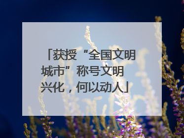 获授“全国文明城市”称号文明 兴化，何以动人