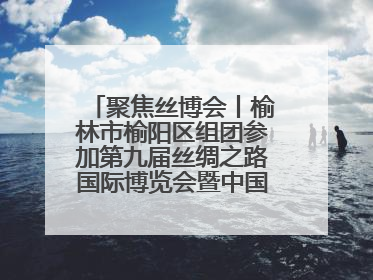 聚焦丝博会丨榆林市榆阳区组团参加第九届丝绸之路国际博览会暨中国东西部合作与投资贸易洽谈会