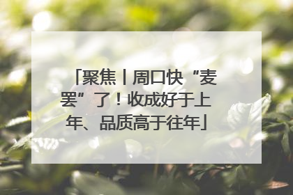 聚焦丨周口快“麦罢”了！收成好于上年、品质高于往年