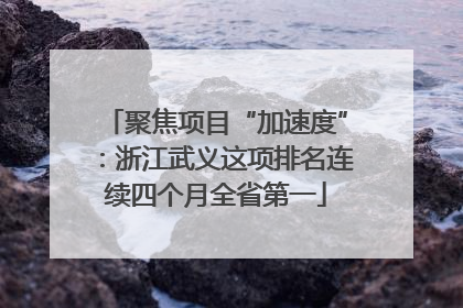 聚焦项目“加速度”：浙江武义这项排名连续四个月全省第一