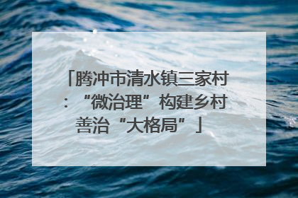 腾冲市清水镇三家村：“微治理”构建乡村善治“大格局”