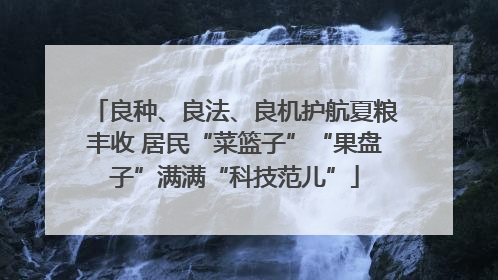 良种、良法、良机护航夏粮丰收 居民“菜篮子”“果盘子”满满“科技范儿”