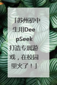 苏州初中生用DeepSeek打造专属游戏，在校园里火了！