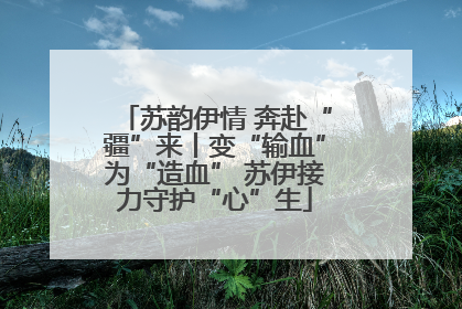 苏韵伊情 奔赴“疆”来丨变“输血”为“造血” 苏伊接力守护“心”生