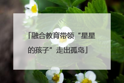 融合教育带领“星星的孩子”走出孤岛