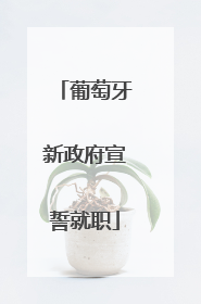 葡萄牙新政府宣誓就职