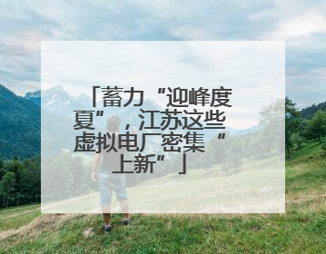 蓄力“迎峰度夏”，江苏这些虚拟电厂密集“上新”