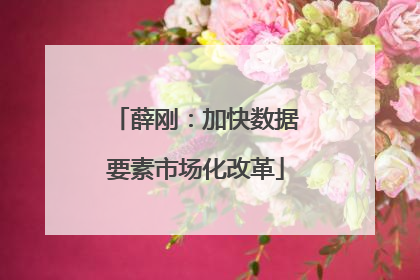 薛刚：加快数据要素市场化改革